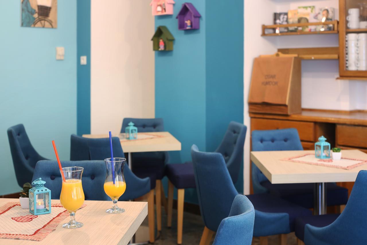 Bed & Breakfast Palac -Free Parking- 바스카보다 외부 사진